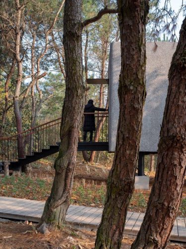 Cabaña en el bosque. forma cónica. ZJJZ Atelier