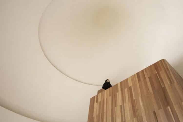 Cabaña en el bosque. forma cónica. ZJJZ Atelier