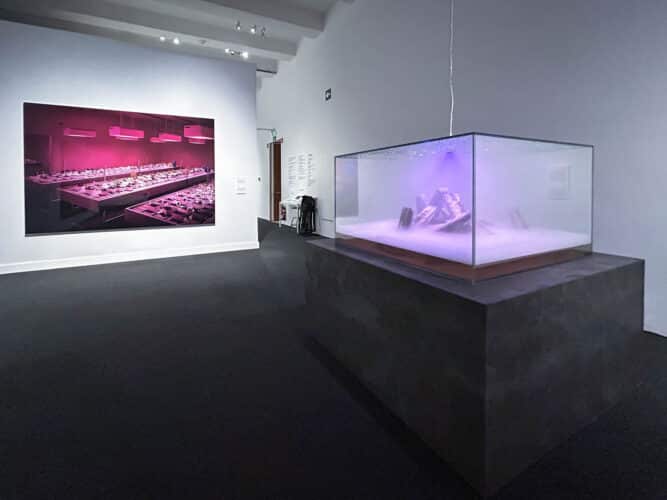 Thomas Demand. Carlos Gil. Arte contemporáneo. CaixaForum Madrid