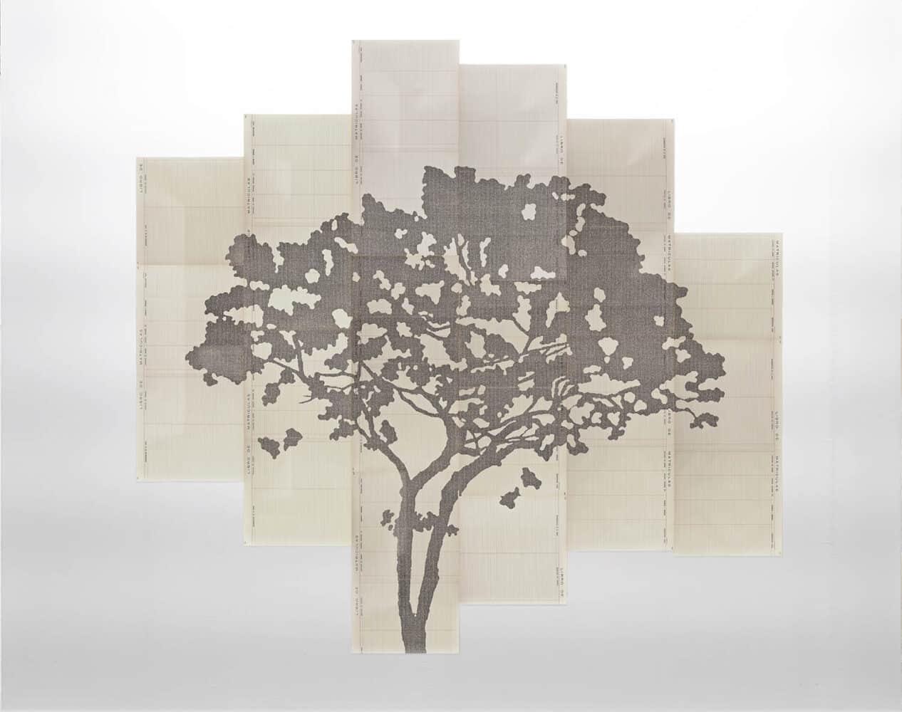 Perimetros. Johanna Calle. Arte y naturaleza