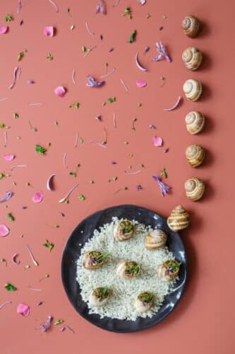 Food Design, Studio Appétit
