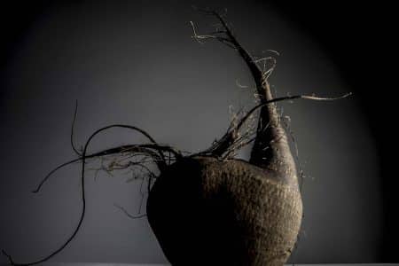 Rafa Monge. Food Design. Verdura discapacitada
