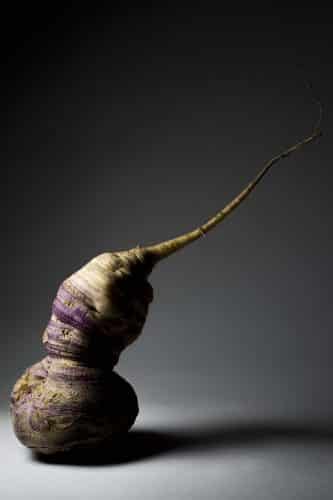Rafa Monge. Food Design. Verdura discapacitada