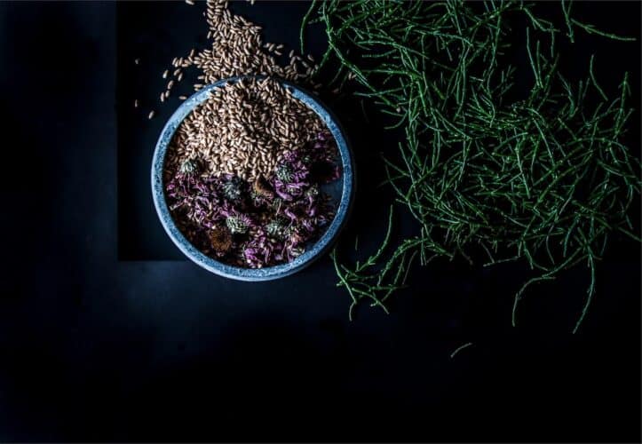Food Design, Studio Appétit