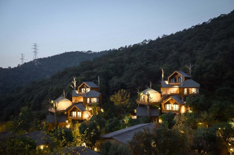 Cabañas en los árboles. Resort. Arquitectura y naturaleza