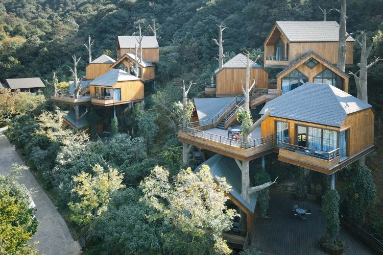 Cabañas en los árboles. Resort. Arquitectura y naturaleza