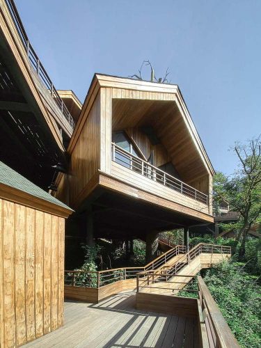 Cabañas en los árboles. Resort. Arquitectura y naturaleza
