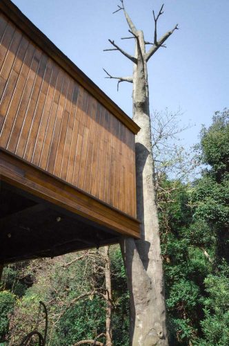 Cabañas en los árboles. Resort. Arquitectura y naturaleza