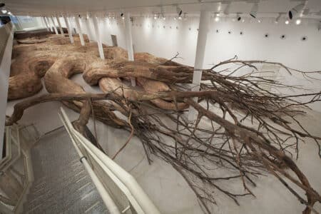 Transarquitetonica. Henrique Oliveira. 2014. Museu de Arte Contemporanea USP, Sao Paulo, Brazil. Arte y naturaleza