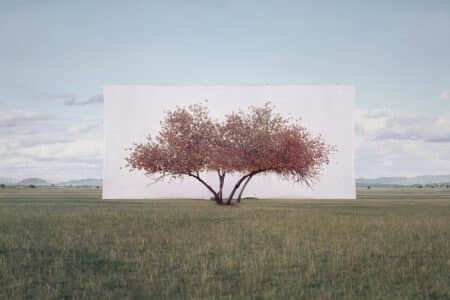 Tree...#2. Myoung Ho Lee. Yossi Milo Gallery. 2014. Arte y naturaleza