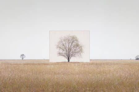 Tree...#3. Myoung Ho Lee. Yossi Milo Gallery. 2014. Arte y naturaleza