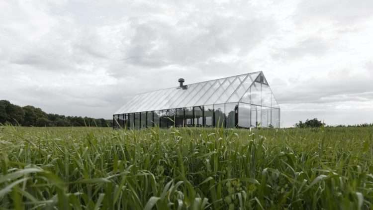 restaurante sueco. Norm Architects. invernadero de cristal