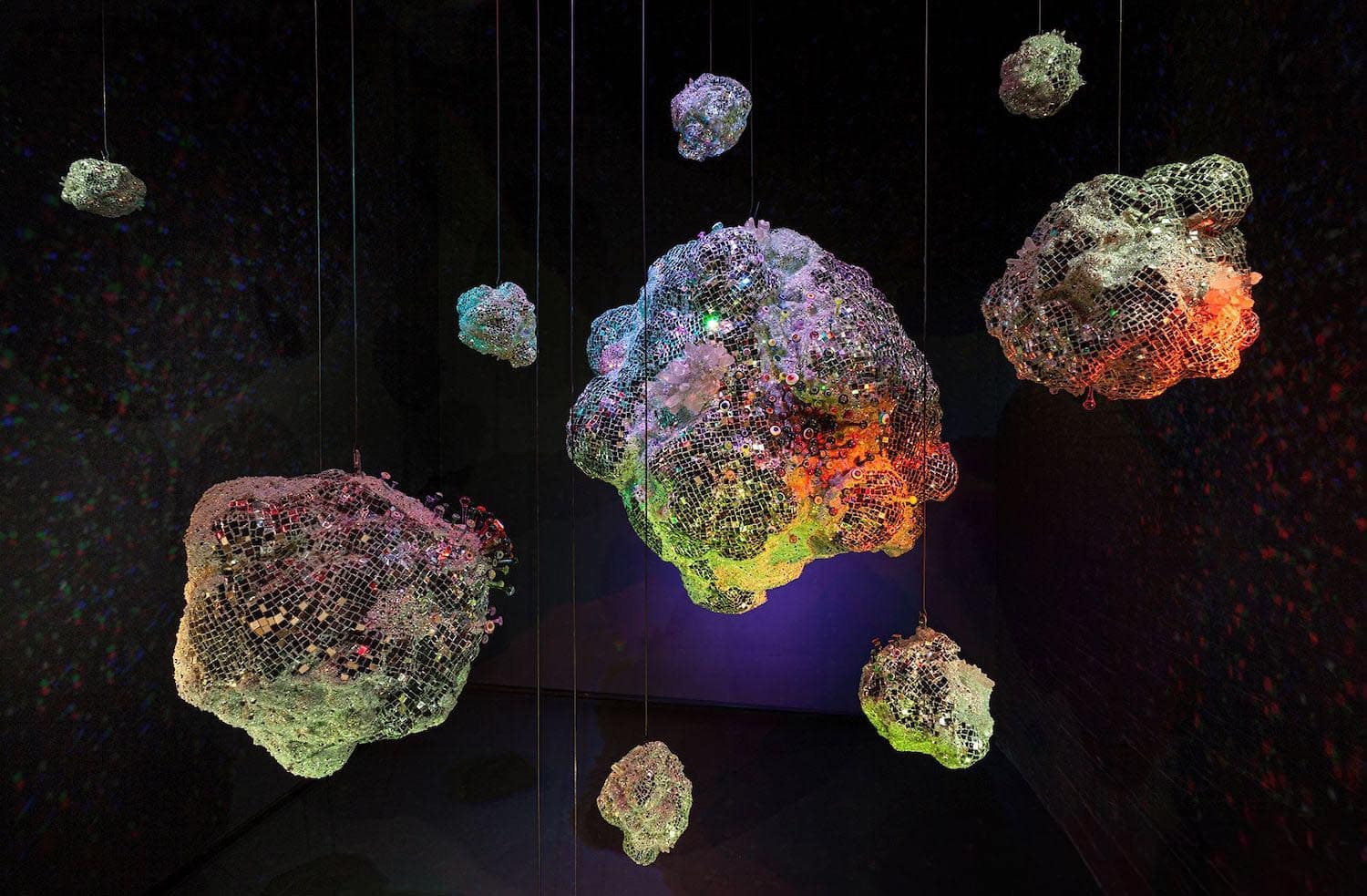 Randy Polumbo, arte orgánico, diseño biomórfico