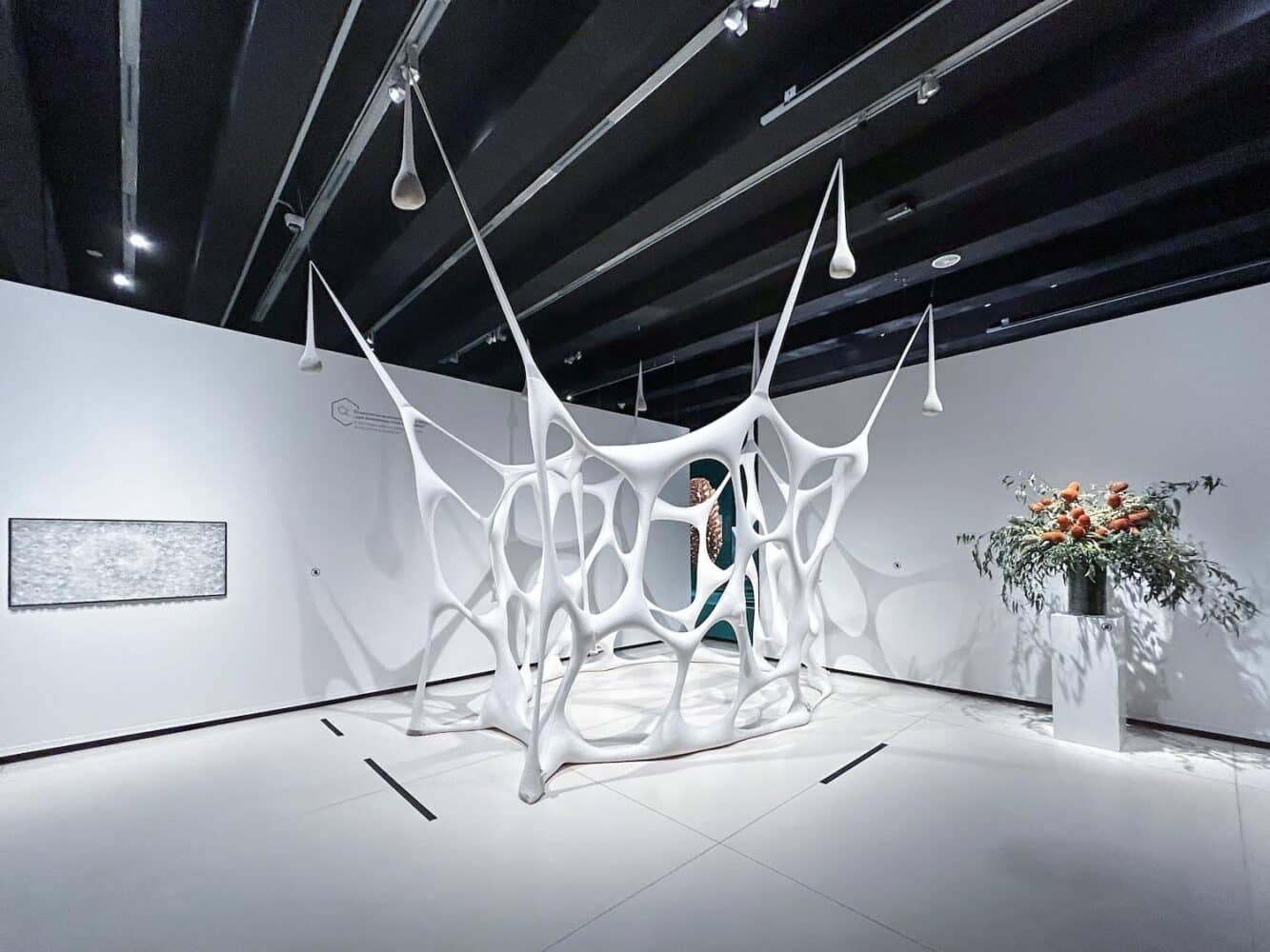 Caixaforum, biomorfismo, arte contemporáneo