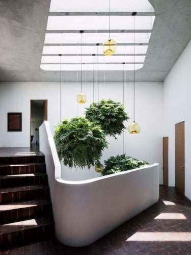 Tatiana Bilbao. Casa Ventura