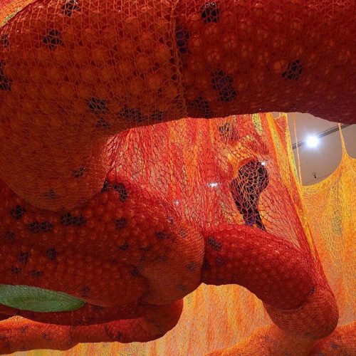 Ernesto Neto. Houston