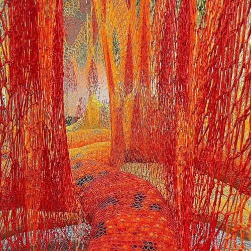 Ernesto Neto. Houston