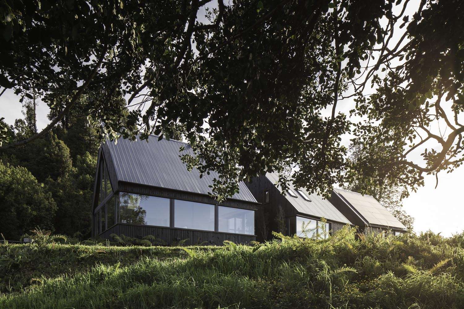 Citic, casa modular, naturaleza chilena