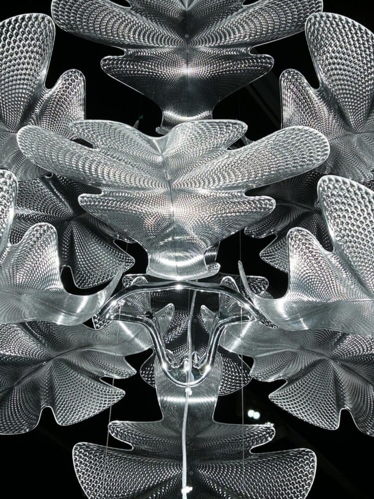 Caixaforum, biomorfismo, arte contemporáneo