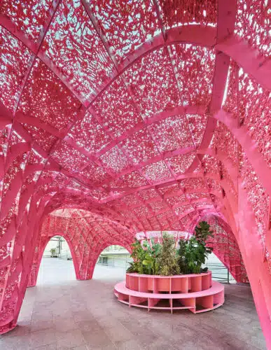 Pink Mountains, climate shelter for humans, birds, and other species. TAKK