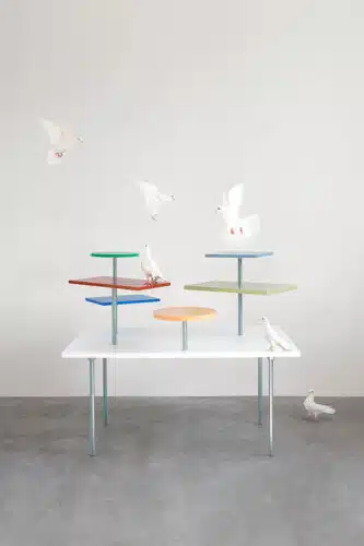 The Pigeon Table. Muller van Severen