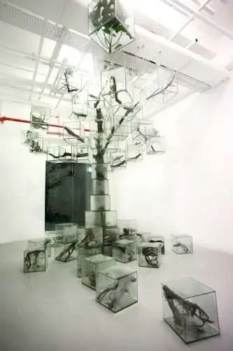 Trees. Takashi Kuribayashi. Paisajes artificiales. Land Art