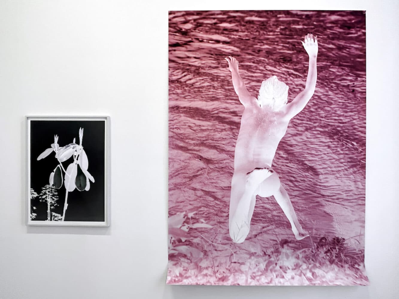 MEP de París, Viviane Sassen