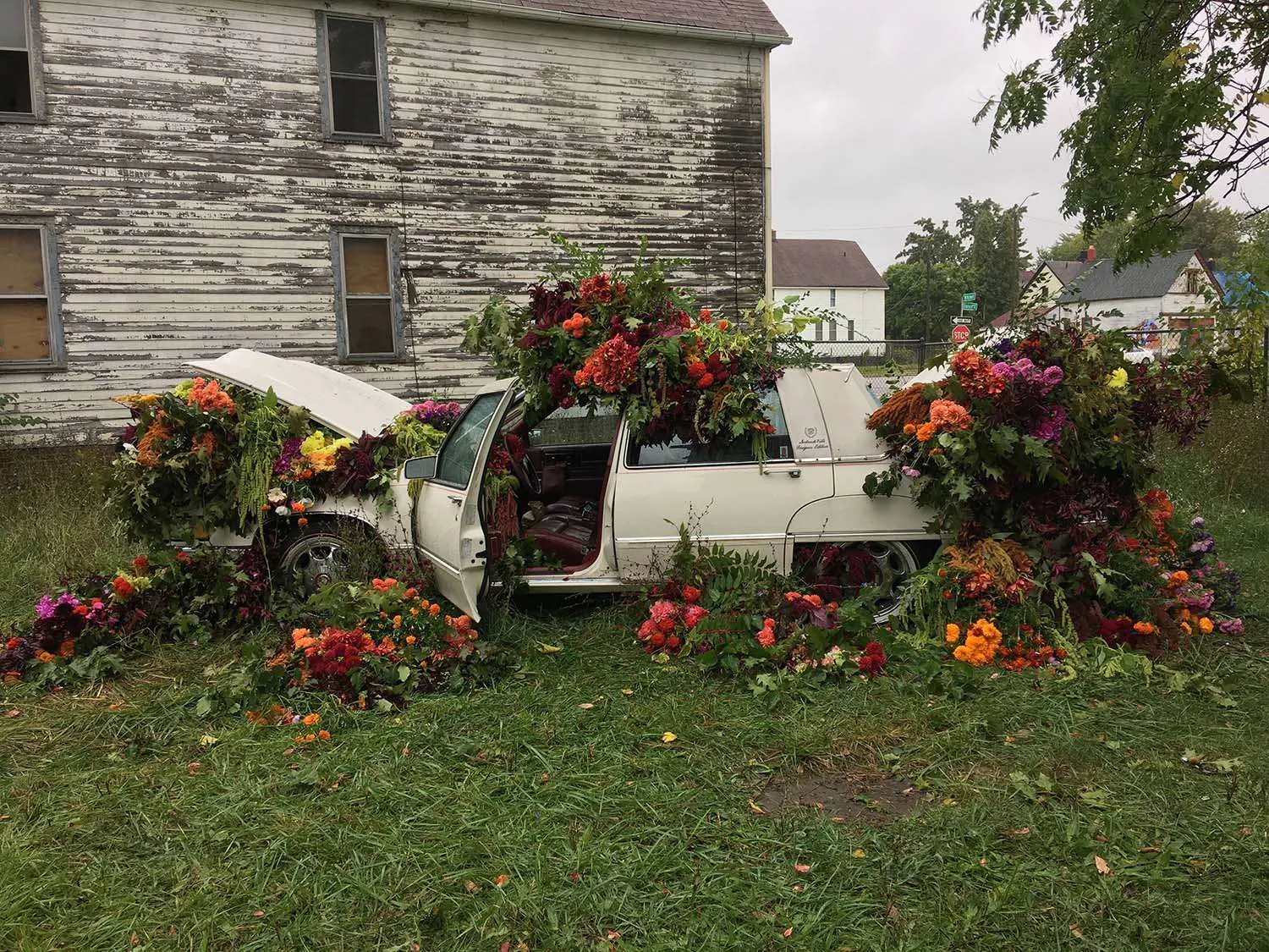 Arte floral. Set floral para vídeo Best Life de Danny Brown. Lisa Waud