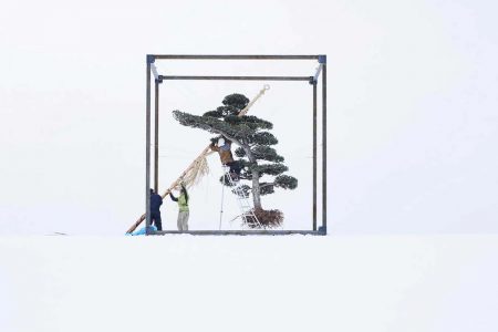 Winter Ceremony. El arte floral de Azuma Makoto